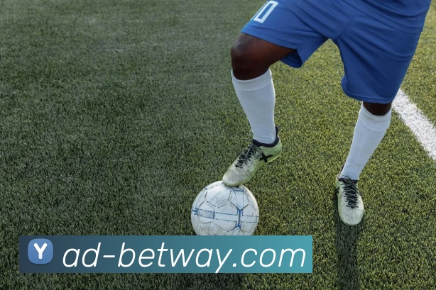 BETWAY必威官网服务体系